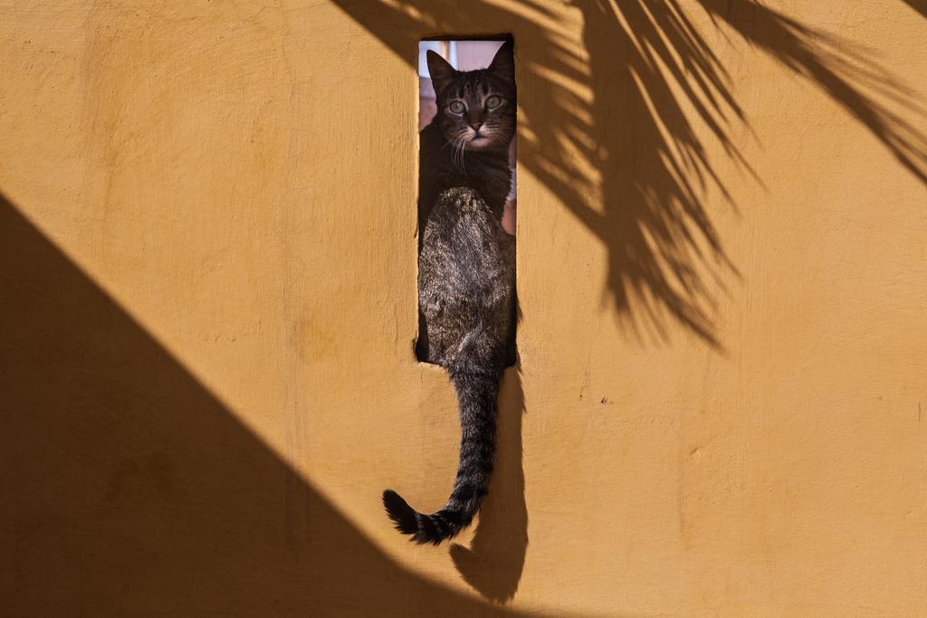 Dar Kleta Hotel Marrakesh Bagian luar foto