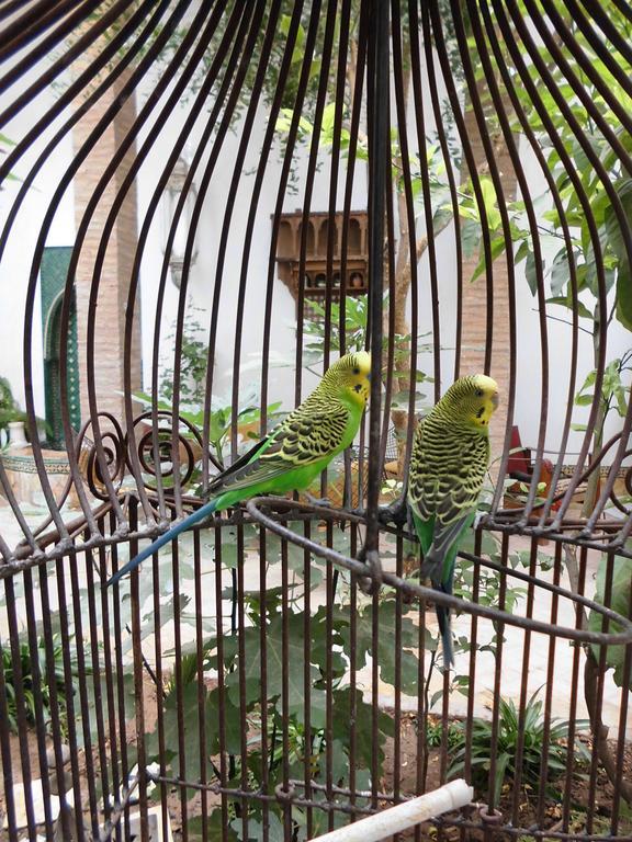 Dar Kleta Hotel Marrakesh Bagian luar foto